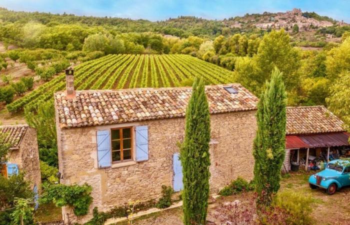 Michèle Torr, 77 anni, svela la sua magnifica casa in Provenza dove si diverte con il suo compagno 27enne