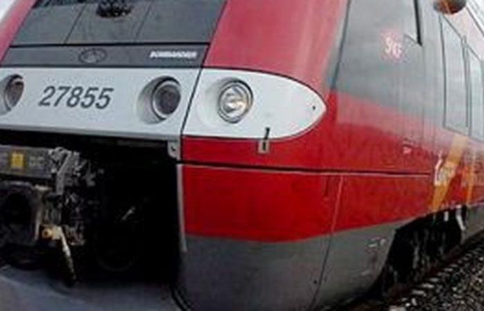 Un treno deraglia nella Lozère in seguito ad una frana causata dall'ultimo episodio delle Cévennes