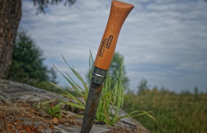 Savoie: è ancora consentito portare con sé un Opinel, anche per un picnic?