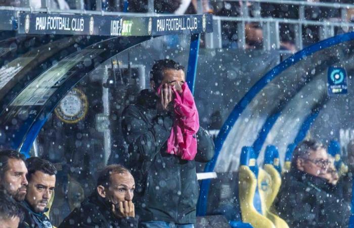 Calcio – Ligue 2: Nicolas Usaï si rammarica di “una sorta di disastro accaduto allo stadio”, dopo la battuta d'arresto contro l'Amiens