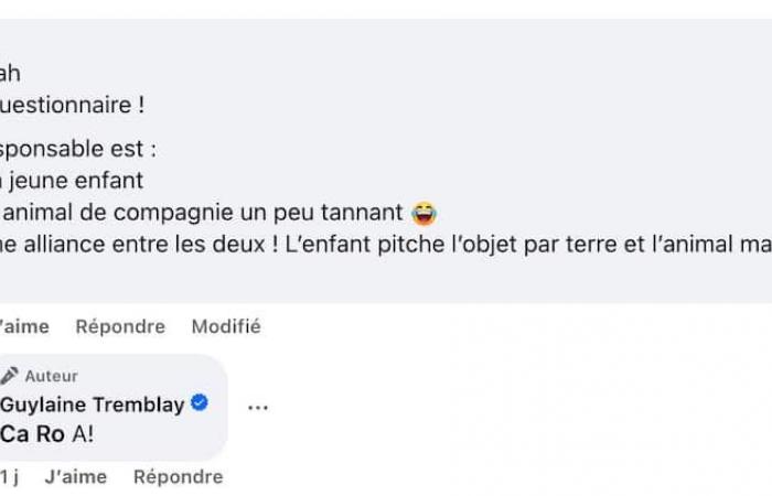 Un bambino ha mangiato il sottopentola di Guylaine Tremblay