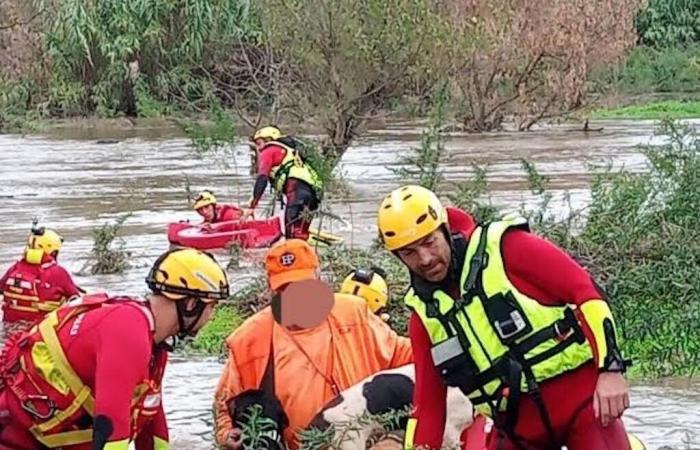 pericoloso salvataggio di un cacciatore e dei suoi cinque cani abbandonati nel Gardon allagato