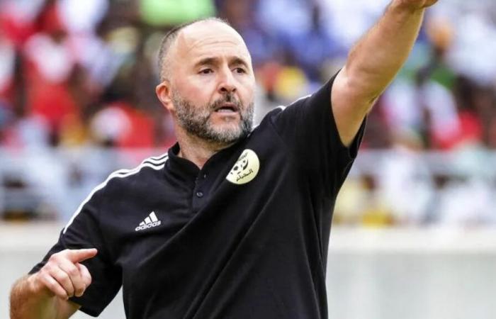 Un ritorno imminente di Djamel Belmadi?