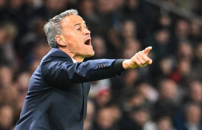 PSG: grandi elogi da Luis Enrique a Roberto De Zerbi!