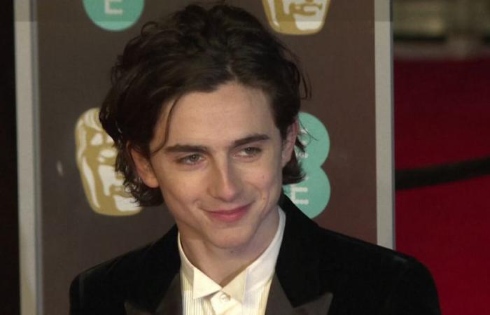 Timothée Chalamet sorprende i suoi fan invitandosi a un concorso per sosia a New York