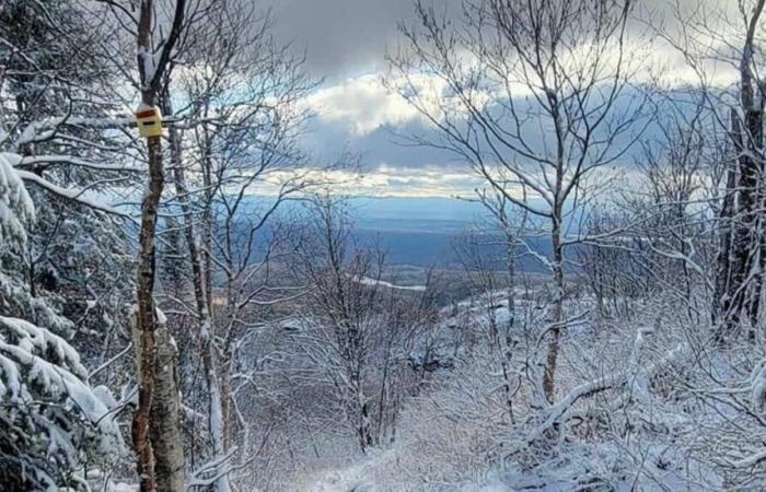 Madre Natura ha perso la testa: dopo la neve, caldo in vista per Halloween