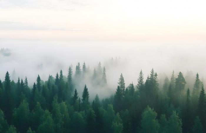 verso un abbassamento delle temperature? Scopri le previsioni del tempo