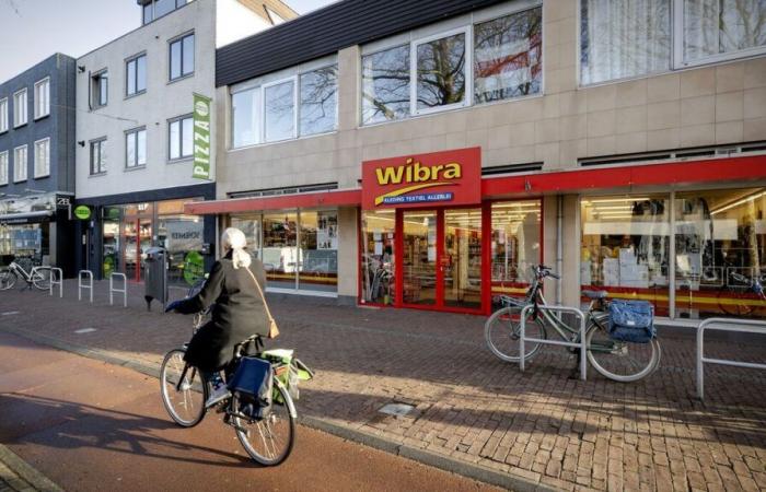 Wibra: cos'è questo marchio discount che ha appena aperto il suo primo negozio in Francia?