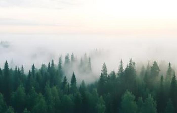 tanta nebbia e nuvole basse nelle prossime ore! Riuscirà il sole ad affermarsi?