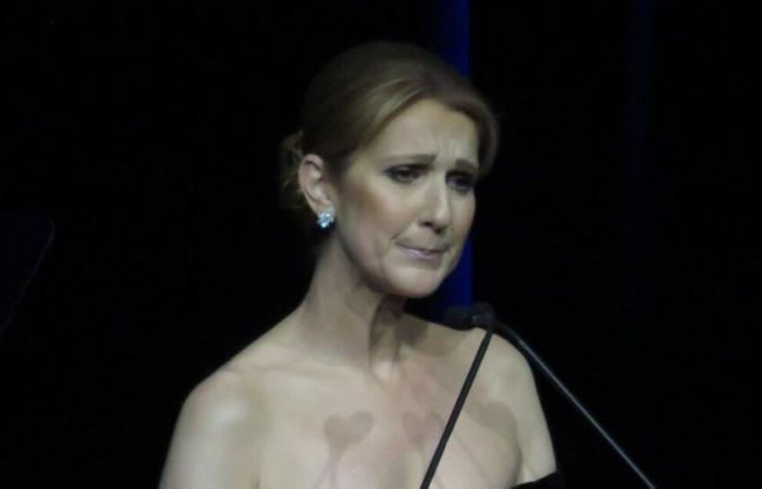 Celine Dion commossa e confortata dal figlio nel bel mezzo di un concerto, il pubblico non riesce a crederci