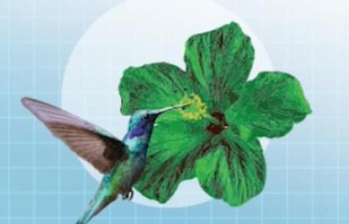 Giornate annuali dei direttori ospedalieri della Guadalupa: l'evento imperdibile per i colibrì caraibici!