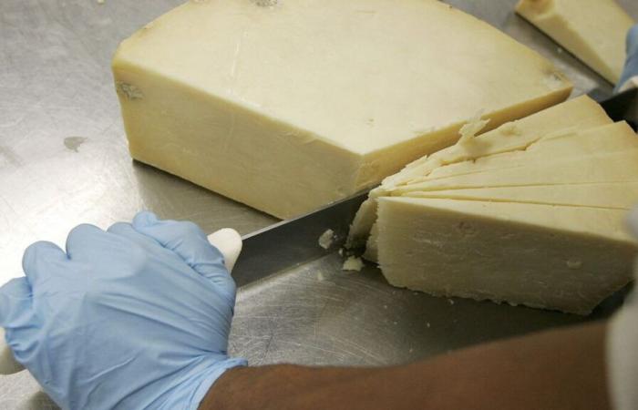 Il truffatore finge di essere un casaro francese e ruba 22 tonnellate di cheddar da un negozio di formaggi di Londra