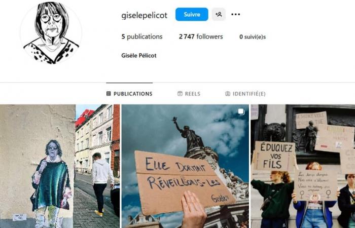 Sui social network compaiono account falsi di Gisèle Pélicot