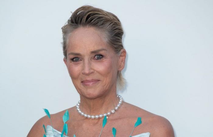 Con un trench e pantaloni scozzesi abbinati, Sharon Stone, 66 anni, dimostra che tutti i modelli vanno bene