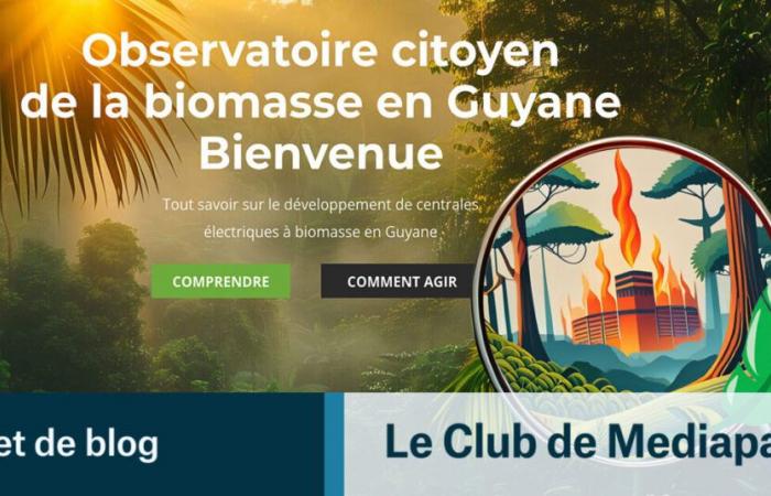 Cop16: le false promesse dell'energia da biomassa in Guyana!