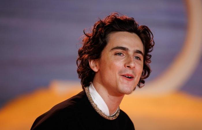 “La vita è bella”: l’attore franco-americano Timothée Chalamet partecipa alla sua competizione per sosia e crea una rivolta