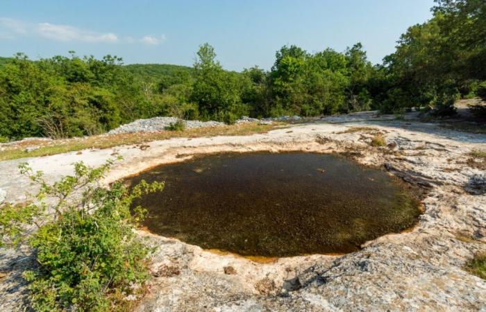 Aveyron: gli stagni del Larzac restaurati dal gioco Mission Nature