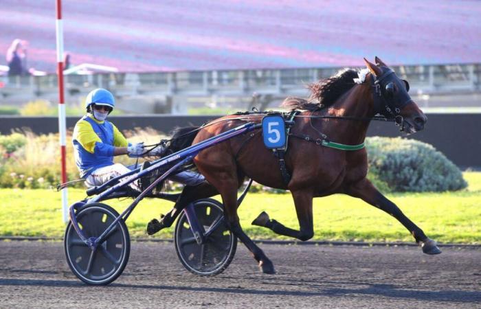 Chemar tenta il raddoppio sui 2.100 metri