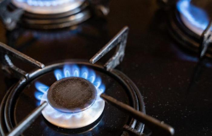 Le stufe a gas sono collegate a 40.000 morti premature ogni anno in Europa