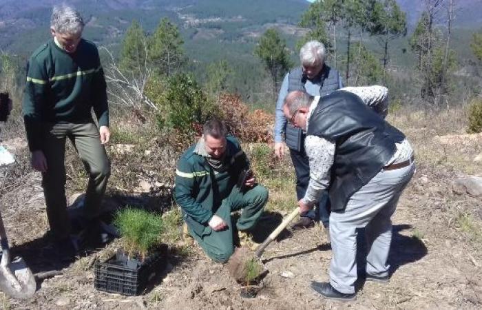 Ardèche e Drôme: la lotteria della biodiversità in soccorso degli stagni e dei pini Salzmann