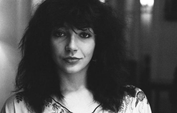 Kate Bush vuole lavorare su un nuovo album