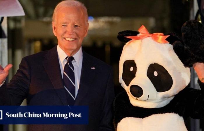 Jill Biden si veste da panda gigante per l'ultimo Halloween alla Casa Bianca