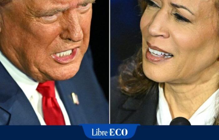 Quale impatto economico di una presidenza Trump o Harris? “Nonostante la retorica chiara, il discorso dei due partiti è diventato molto più pragmatizzato”