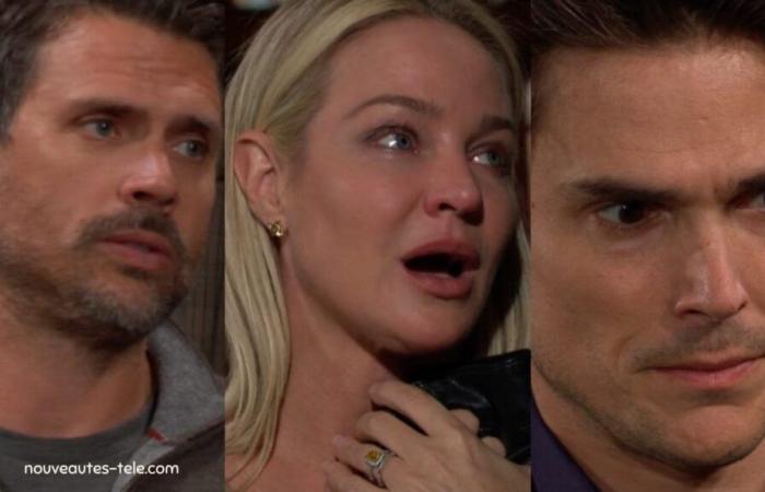 Sharon vuole essere forte, Adam e Nick alla riscossa – The Young and the Restless (spoiler) dal 4 all'8 novembre 2024