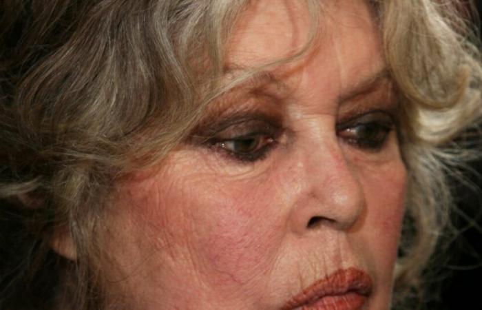 Brigitte Bardot: Danneggiato il suo rifugio a Madrague: “Non l’ho mai visto”