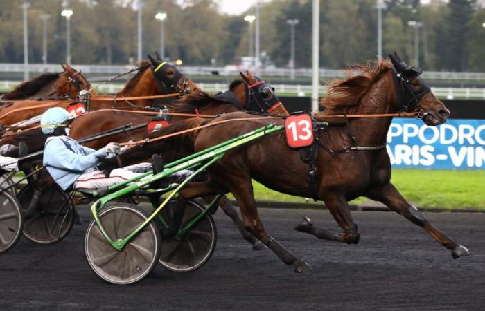 Illusion Jipad vince con Jean-Michel Bazire il Prix du Dorat