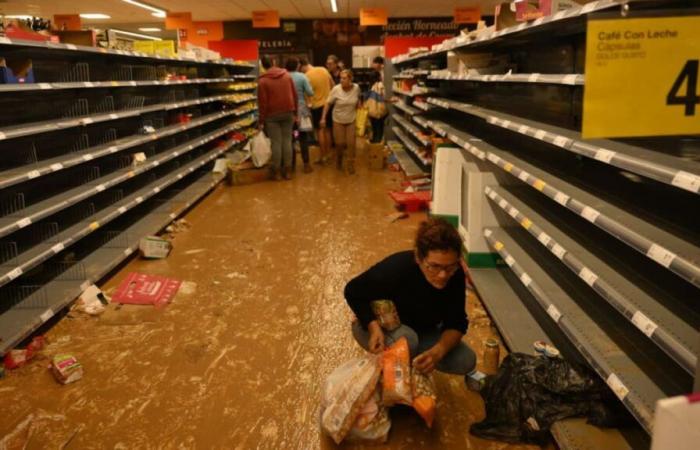 Come aiutare le persone colpite da DANA a Valencia: questi i canali disponibili | Società