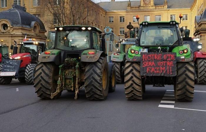 Radio 8 Ardenne | Azione di pugni degli agricoltori delle Ardenne questo giovedì davanti alla Prefettura