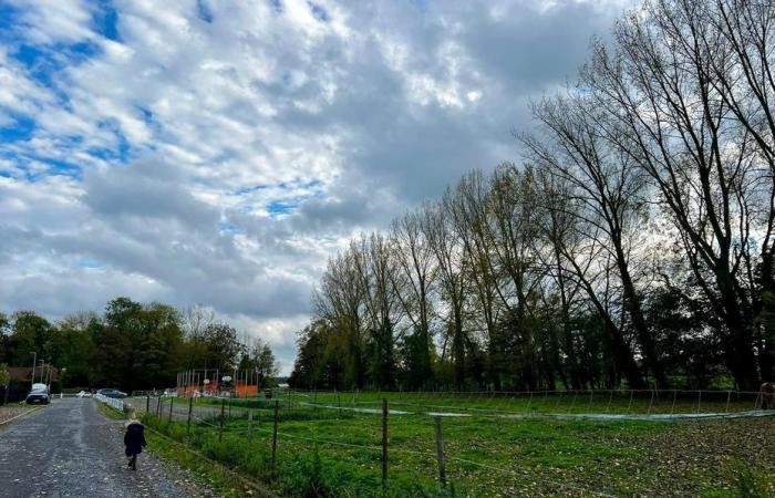 Bollettino meteorologico. Com’è il tempo questo giovedì, 31 ottobre in Alta Francia?