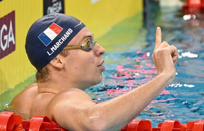 Léon Marchand alla Coppa del Mondo di nuoto: date, orari, gare, canale… Tutto quello che c’è da sapere sul programma della terza tappa di Singapore