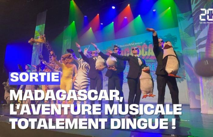 Madagascar, un'avventura musicale totalmente folle!