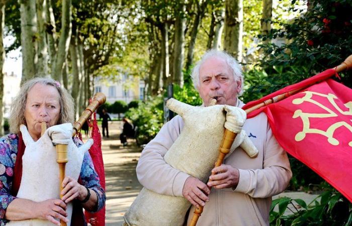 Da 20 anni gestiscono nell'Aude una scuola associativa per la salvaguardia di uno strumento musicale occitano.