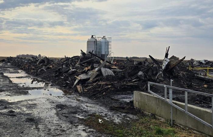 Un incendio distrugge due pollai a Montérégie