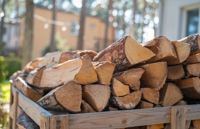 7 milioni di francesi colpiti dall'aumento dello stere quest'inverno