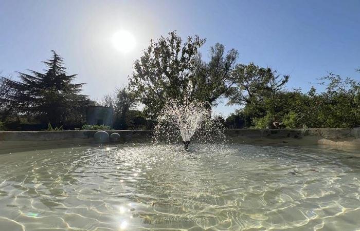 sole e temperature intorno ai 20 gradi questa settimana