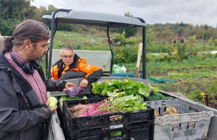 Un'azienda agricola biologica a Longpont raccoglie 13.000 euro in donazioni per raccogliere le sue verdure in buone condizioni