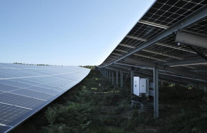 mobilitazione contro un nuovo progetto fotovoltaico in Dordogna