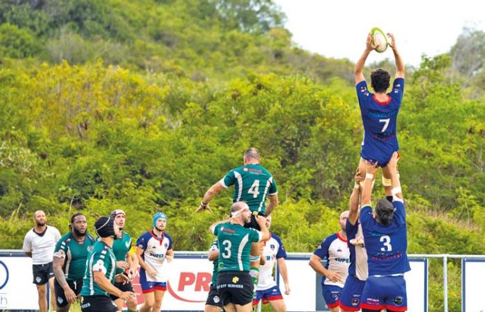 RUGBY (Campionato Guadalupa 2024-2025): L'Archis partirà in casa contro il Bruc