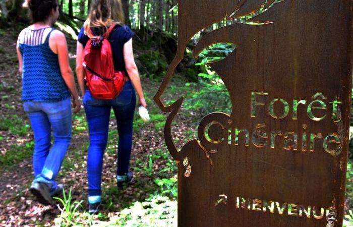 “Dovevamo essere pazienti”: perché la prima foresta cineraria in Francia è stata sospesa per 4 anni, nel sud dell’Alta Garonna?