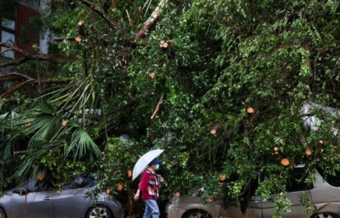 Taiwan: due morti e più di 500 feriti dopo il passaggio del tifone Kong-rey: News