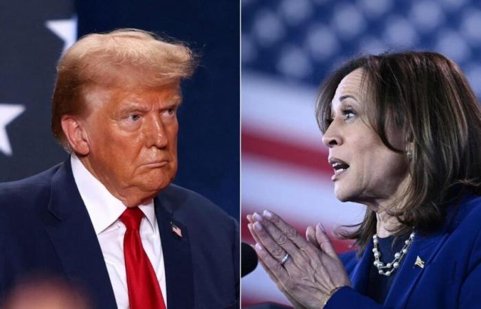 Gli abusi verbali di Trump lo “squalificano” per la Casa Bianca, dice Harris