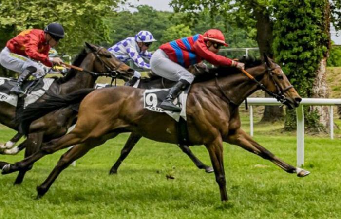 Il raduno del Gran Premio di Nantes, appuntamento imperdibile dell’autunno agonistico, da seguire su Facebook Live dalle 11:40.