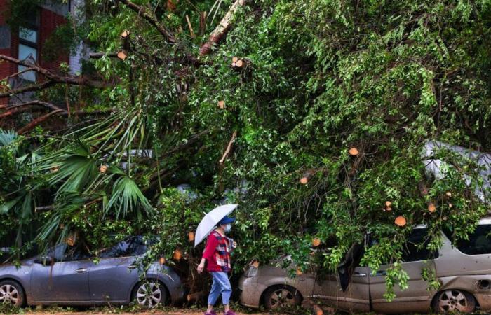 Taiwan: il tifone Kong-rey provoca 2 morti e più di 500 feriti