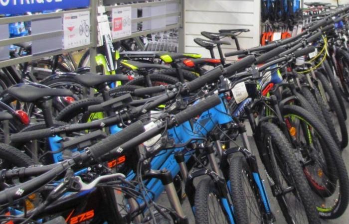 il marchio Intersport offre biciclette a due college