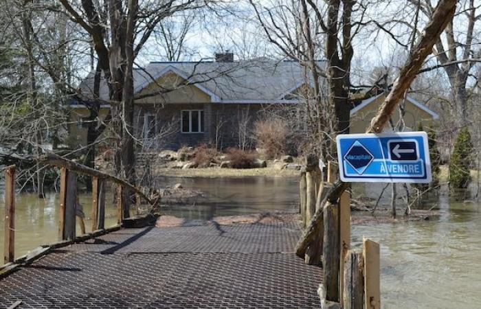 Zone alluvionali: cittadini abbandonati a se stessi, sindaci tuonanti