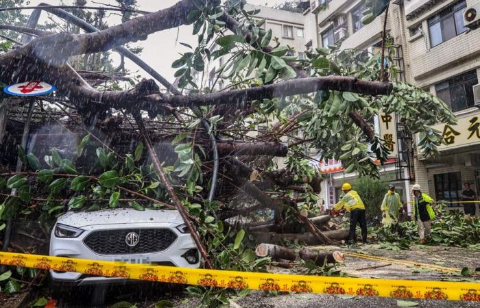 Taiwan | Il tifone Kong-rey uccide due persone e ne ferisce più di 500